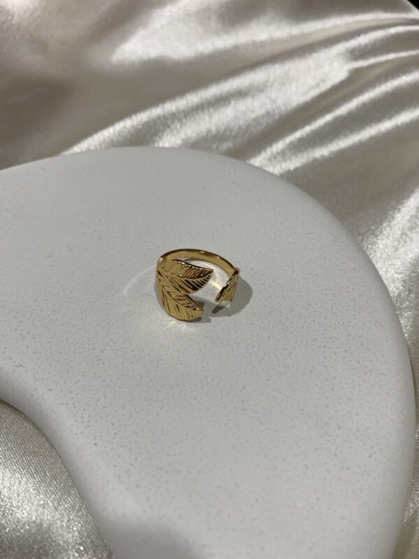 Amour Rings